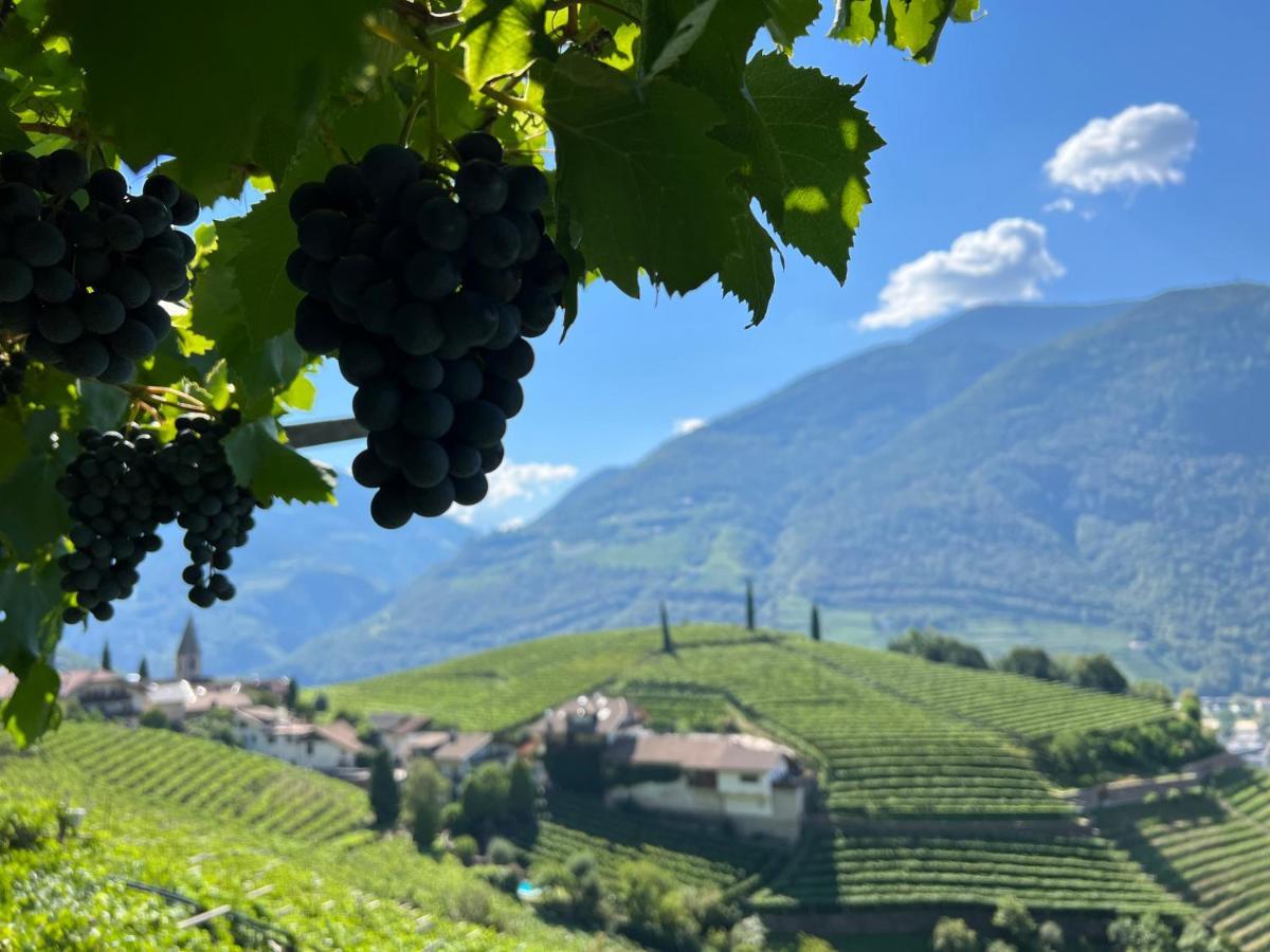 ボルツァーノWeingut Eberlehofアパートメント エクステリア 写真